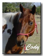 Meet Cody